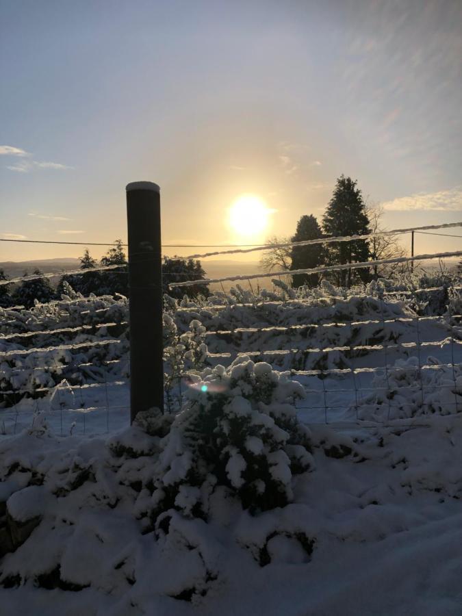 Woodside Cabin Inverness Zewnętrze zdjęcie
